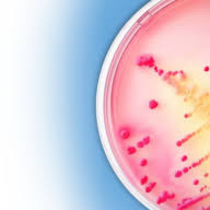 Mirna Therapeutics Inc Mirna Therapeutics Inc