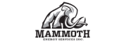 Mammoth Energy Services, Inc.