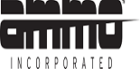Outdoor Holding Company Outdoor Holding Company