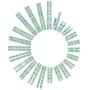 Soleno Therapeutics, Inc. Soleno Therapeutics, Inc.
