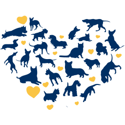 Swedencare AB (publ) Swedencare AB (publ)