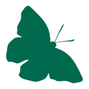 Green Landscaping Holding AB (publ) Green Landscaping Holding AB (publ)
