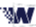 Wizcom Technologies Ltd. Wizcom Technologies Ltd.