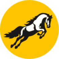 Tembo Global Industries Limited Tembo Global Industries Limited