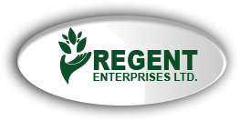 Regent Enterprises Limited Regent Enterprises Limited