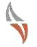 VSF Projects Limited VSF Projects Limited