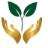 Growington Ventures India Limited