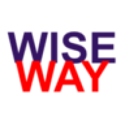 Wiseway Group Limited Wiseway Group Limited