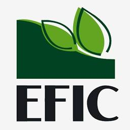 Egyptian Financial & Industrial Co. Egyptian Financial & Industrial Co.