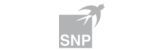 SNP Schneider-Neureither & Partner SE SNP Schneider-Neureither & Partner SE