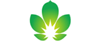 Sinopharm Tech Holdings Limited