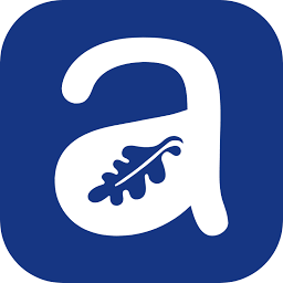 Aveo Group Aveo Group