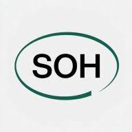 South Ocean Holdings Limited