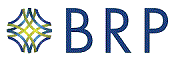 The Baldwin Insurance Group, Inc. The Baldwin Insurance Group, Inc.