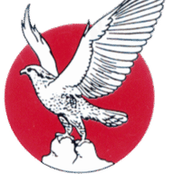 National Cement Company National Cement Company
