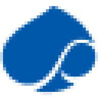 CAP GEMINI CAP GEMINI