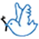 Murudeshwar Ceramics Ltd. Murudeshwar Ceramics Ltd.