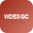ETF            WDESGC