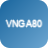 ETF            VNGA80