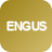 ETF            ENGUS