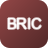 ETF            BRIC