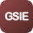 ETF            GSIE