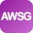 ETF            AWSG