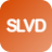 ETF            SLVD