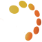 Logo Nanophase Technologies Corporation