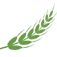 Logo Muscle Maker