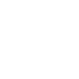 Action EVE