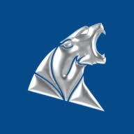 Action WDCTF