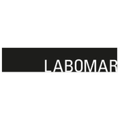 Action LBM