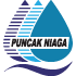 Action PKNHF