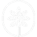 Aktie A3C14J
