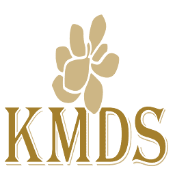 Aktie KMDS