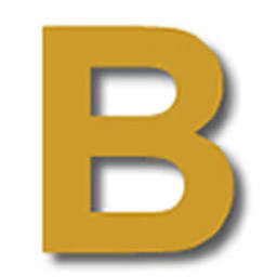 Action BELMF