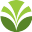 Logo Olam Group Limited