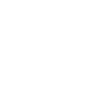 Action BDLNF