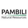 Stock PNNEF