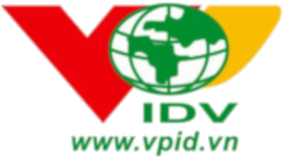 Action IDV