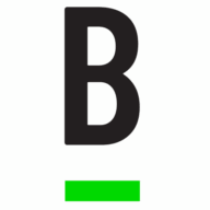 Action BRDG