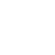 Action AVHI