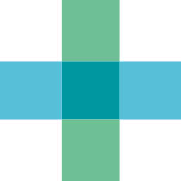 Logo Bausch + Lomb Corporation