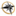 Action CVKMD