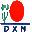 Action DXN