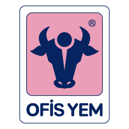 Action OFSYM