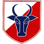 Action BUCS
