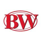 Action BWYS