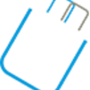 Action BULKCORP